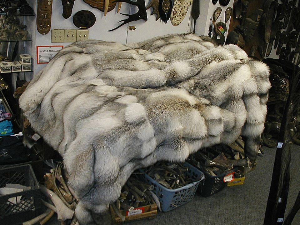 Alaska Fur Exchange 3